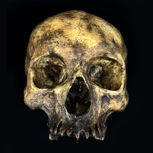 Michal Ledwig signature Dirty Skull